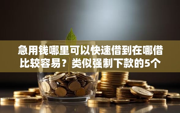 急用钱哪里可以快速借到在哪借比较容易？类似强制下款的5个口子参考