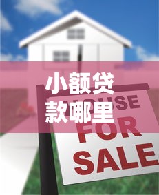 小额贷款哪里最可靠？十大黑户也能贷的平台推荐