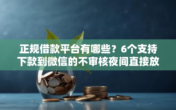 正规借款平台有哪些？6个支持下款到微信的不审核夜间直接放款的网贷软件