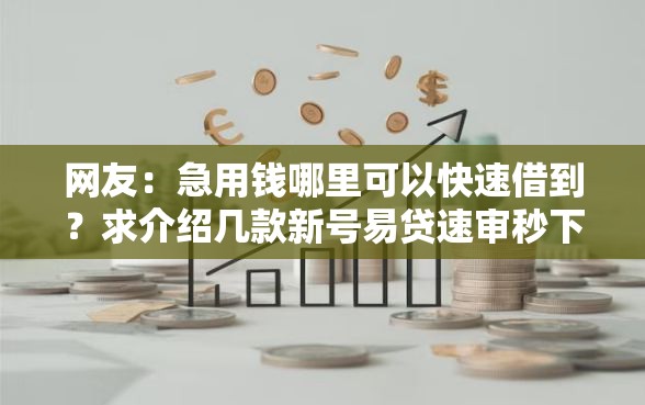 网友：急用钱哪里可以快速借到？求介绍几款新号易贷速审秒下款平台