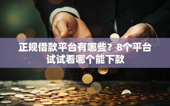 正规借款平台有哪些？8个平台试试看哪个能下款