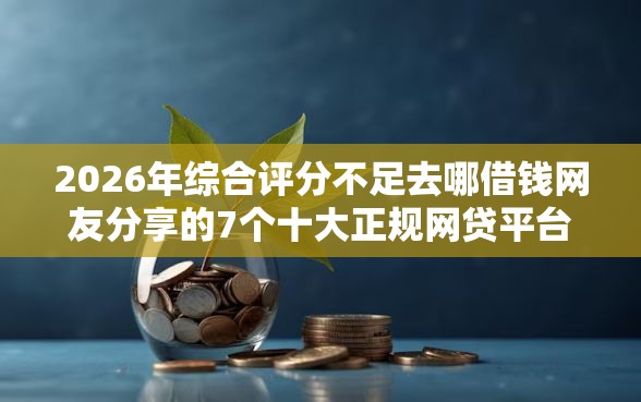 2026年综合评分不足去哪借钱网友分享的7个十大正规网贷平台排名不分先后我觉得不错！