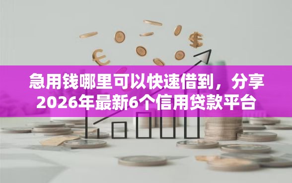 急用钱哪里可以快速借到，分享2026年最新6个信用贷款平台