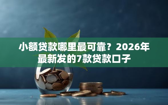 小额贷款哪里最可靠？2026年最新发的7款贷款口子