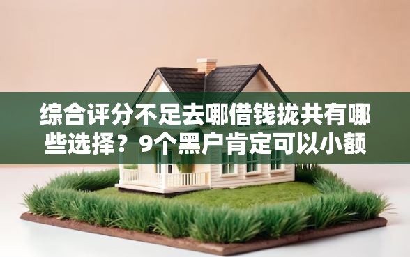 综合评分不足去哪借钱拢共有哪些选择?9个黑户肯定可以小额下款的平台详解 综合评分不足去哪借钱拢共有哪些选择?9个黑户肯定可以小额下款的平台详解