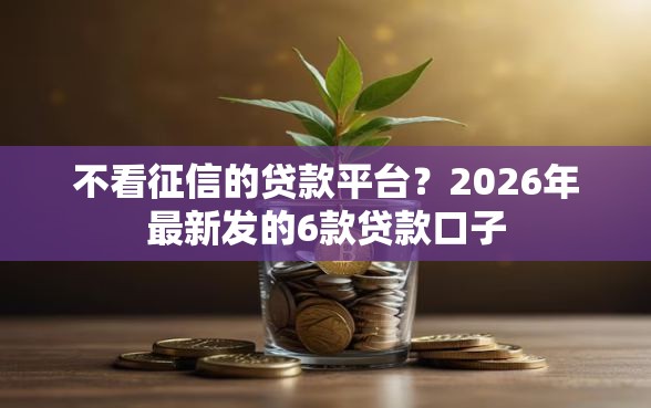不看征信的贷款平台？2026年最新发的6款贷款口子