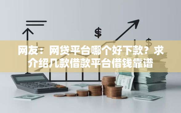 网友：网贷平台哪个好下款？求介绍几款借款平台借钱靠谱