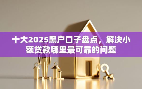 十大2025黑户口子盘点，解决小额贷款哪里最可靠的问题