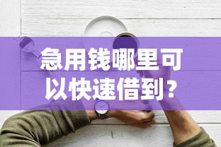 急用钱哪里可以快速借到？2026最新测评10个比较容易借钱的平台