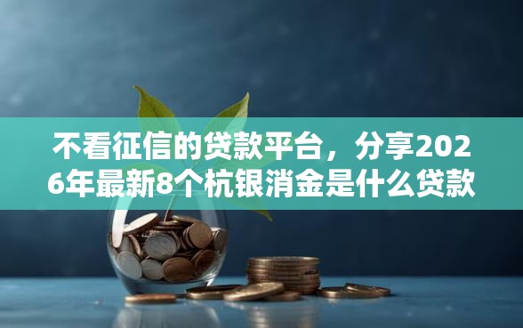 不看征信的贷款平台，分享2026年最新8个杭银消金是什么贷款平台