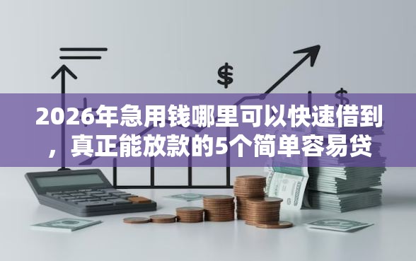 2026年急用钱哪里可以快速借到，真正能放款的5个简单容易贷款软件推荐