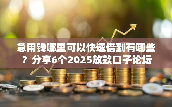 急用钱哪里可以快速借到有哪些？分享6个2025放款口子论坛