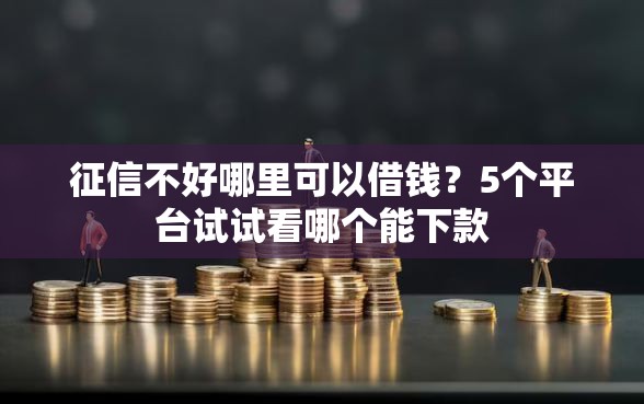 征信不好哪里可以借钱？5个平台试试看哪个能下款