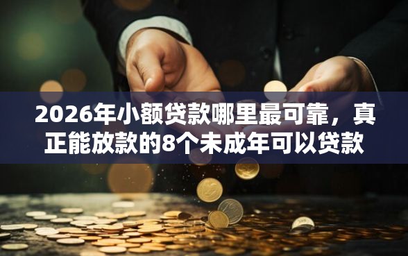 2026年小额贷款哪里最可靠，真正能放款的8个未成年可以贷款的平台推荐