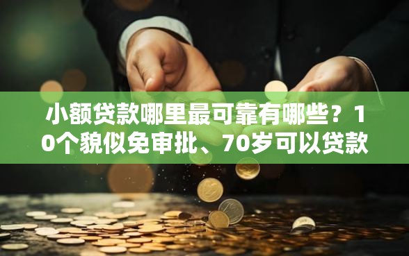小额贷款哪里最可靠有哪些？10个貌似免审批、70岁可以贷款的平台合集