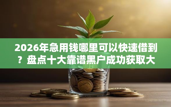 2026年急用钱哪里可以快速借到?盘点十大靠谱黑户成功获取大额贷款的口子 2026年急用钱哪里可以快速借到?盘点十大靠谱黑户成功获取大额贷款的口子