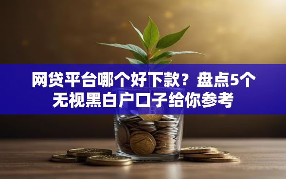 网贷平台哪个好下款？盘点5个无视黑白户口子给你参考