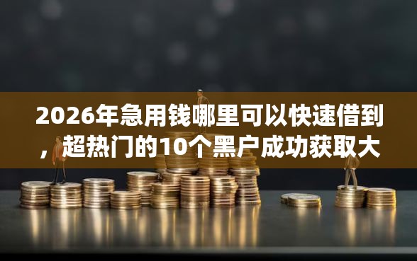 2026年急用钱哪里可以快速借到，超热门的10个黑户成功获取大额贷款的app推荐