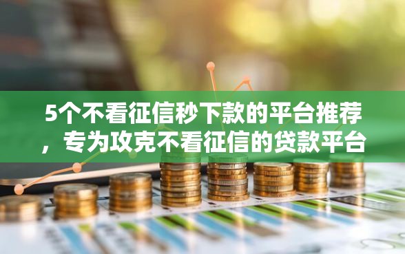 5个不看征信秒下款的平台推荐，专为攻克不看征信的贷款平台难题