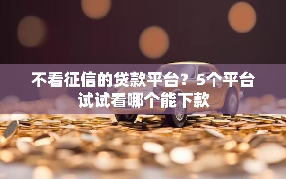 不看征信的贷款平台？5个平台试试看哪个能下款