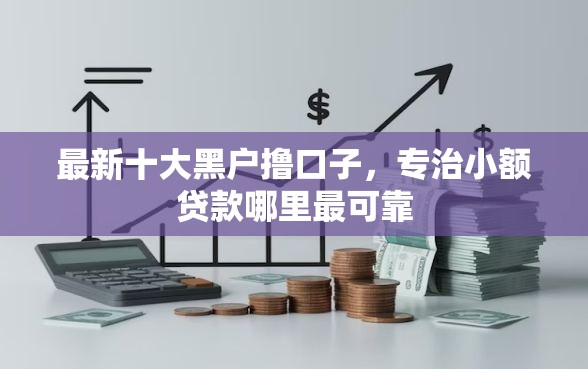 最新十大黑户撸口子，专治小额贷款哪里最可靠
