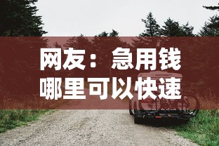 网友：急用钱哪里可以快速借到？求介绍几款有车贷款平台