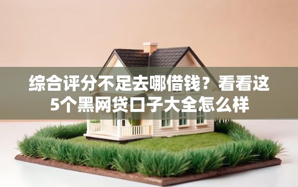 综合评分不足去哪借钱?看看这5个黑网贷口子大全怎么样 综合评分不足去哪借钱?看看这5个黑网贷口子大全怎么样