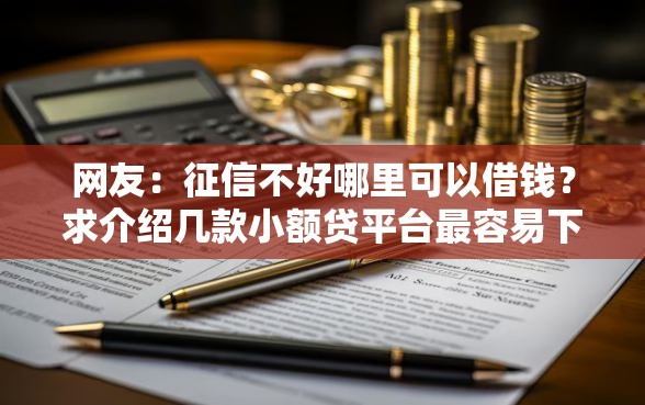 网友：征信不好哪里可以借钱？求介绍几款小额贷平台最容易下款