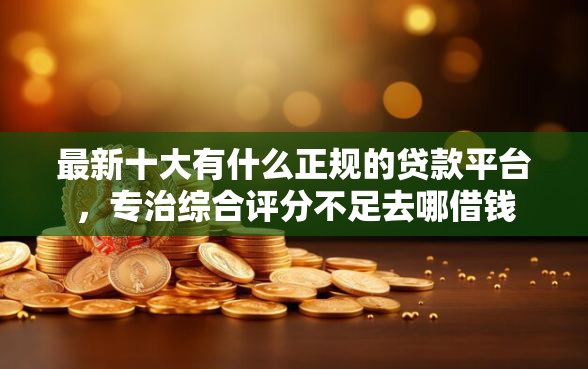 最新十大有什么正规的贷款平台，专治综合评分不足去哪借钱