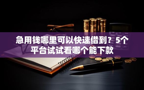 急用钱哪里可以快速借到？5个平台试试看哪个能下款