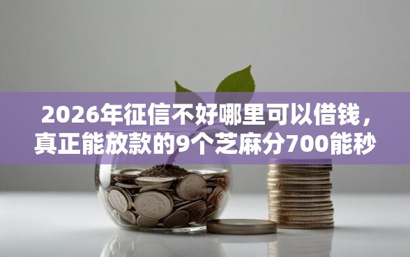2026年征信不好哪里可以借钱，真正能放款的9个芝麻分700能秒下的软件推荐