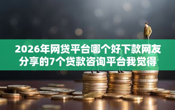 2026年网贷平台哪个好下款网友分享的7个贷款咨询平台我觉得不错！