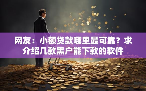 网友：小额贷款哪里最可靠？求介绍几款黑户能下款的软件