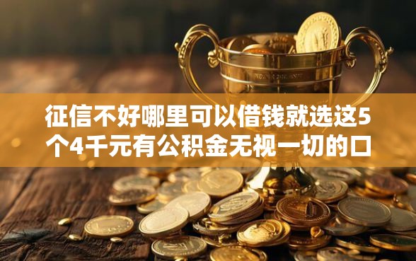 征信不好哪里可以借钱就选这5个4千元有公积金无视一切的口子 征信不好哪里可以借钱就选这5个4千元有公积金无视一切的口子