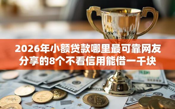 2026年小额贷款哪里最可靠网友分享的8个不看信用能借一千块钱的软件我觉得不错！