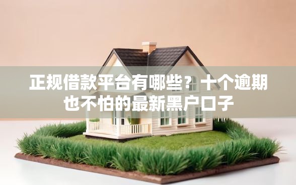正规借款平台有哪些？十个逾期也不怕的最新黑户口子
