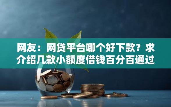 网友：网贷平台哪个好下款？求介绍几款小额度借钱百分百通过的平台