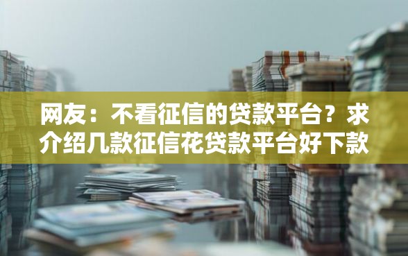 网友：不看征信的贷款平台？求介绍几款征信花贷款平台好下款
