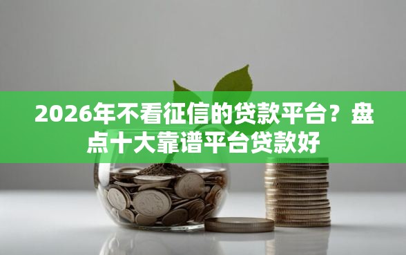 2026年不看征信的贷款平台？盘点十大靠谱平台贷款好