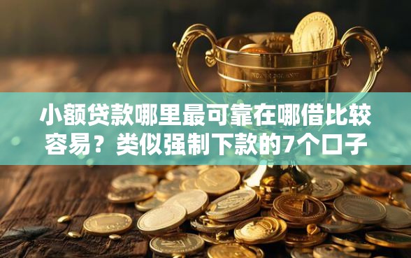 小额贷款哪里最可靠在哪借比较容易？类似强制下款的7个口子参考