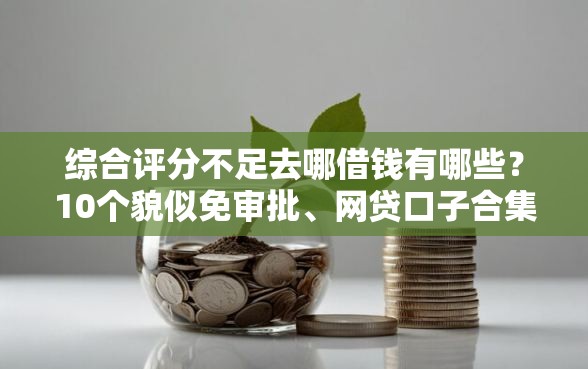 综合评分不足去哪借钱有哪些？10个貌似免审批、网贷口子合集