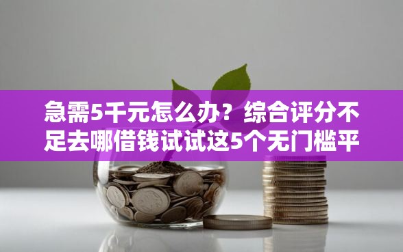 急需5千元怎么办？综合评分不足去哪借钱试试这5个无门槛平台