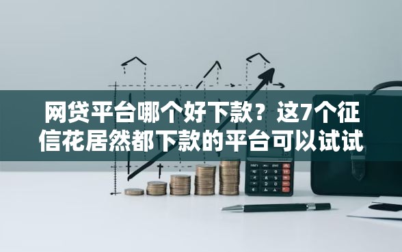 网贷平台哪个好下款？这7个征信花居然都下款的平台可以试试