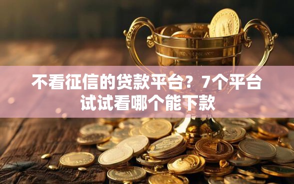 不看征信的贷款平台？7个平台试试看哪个能下款