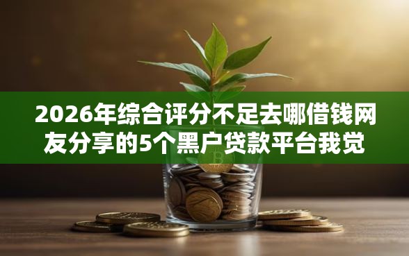 2026年综合评分不足去哪借钱网友分享的5个黑户贷款平台我觉得不错！