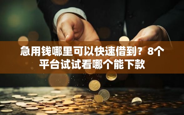 急用钱哪里可以快速借到？8个平台试试看哪个能下款