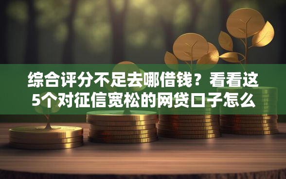 综合评分不足去哪借钱？看看这5个对征信宽松的网贷口子怎么样