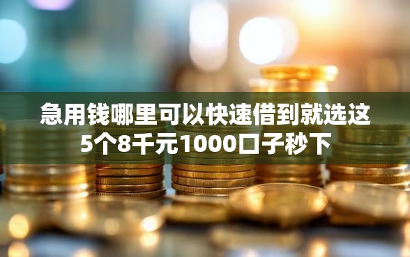 急用钱哪里可以快速借到就选这5个8千元1000口子秒下