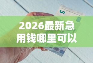 2026最新急用钱哪里可以快速借到，总结十个最快的借钱平台是什么！