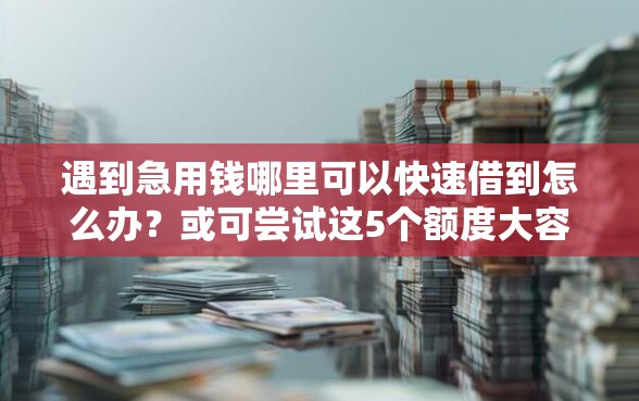 遇到急用钱哪里可以快速借到怎么办?或可尝试这5个额度大容易通过的平台借款 遇到急用钱哪里可以快速借到怎么办?或可尝试这5个额度大容易通过的平台借款